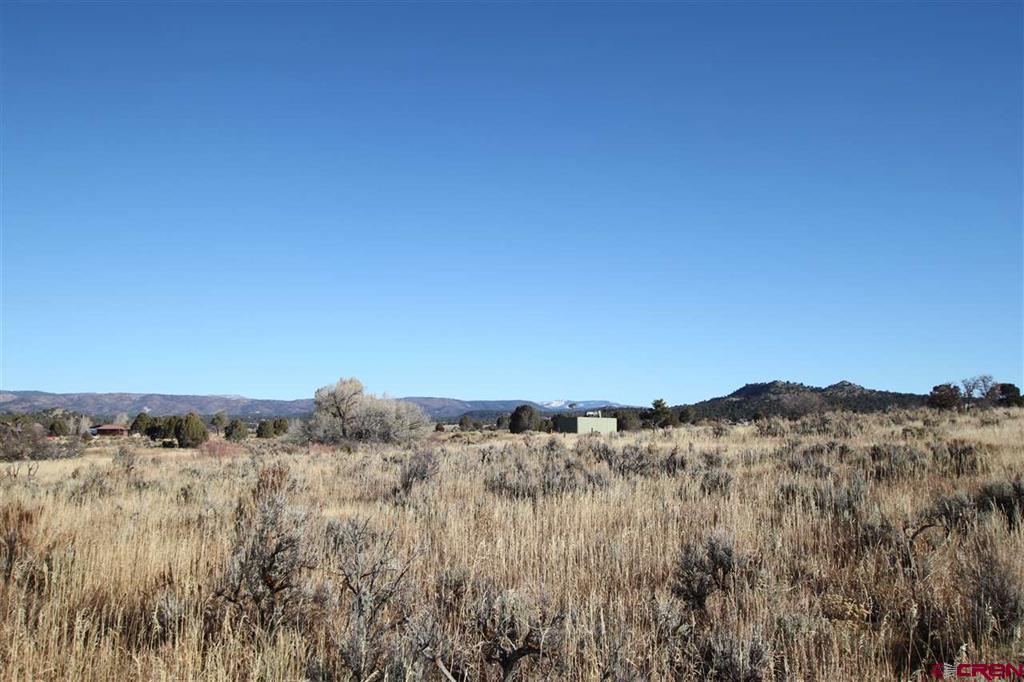 Tbd County Road 510 Property Photo 14