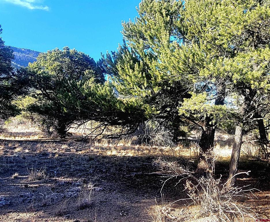 1094 & 1343 Valley View Road Property Photo 11