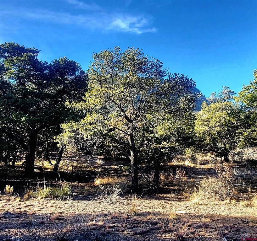 1094 & 1343 Valley View Road Property Photo 12