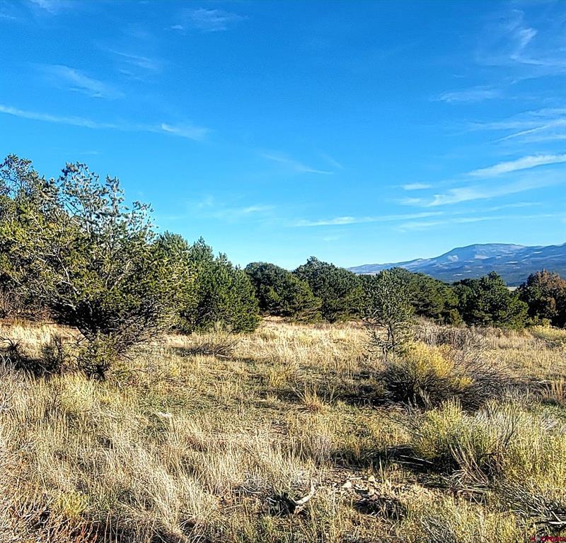 1094 & 1343 Valley View Road Property Photo 33
