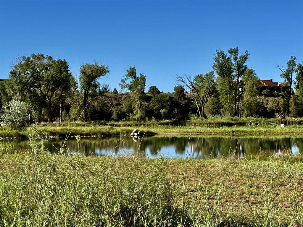 7149 & 7198 Cr 213 Property Photo 3