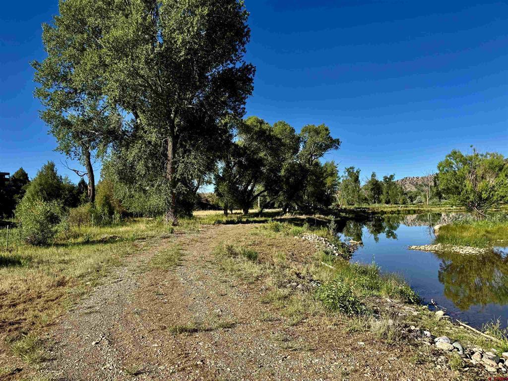 7149 & 7198 Cr 213 Property Photo 6
