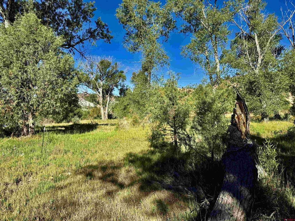 7149 & 7198 Cr 213 Property Photo 10