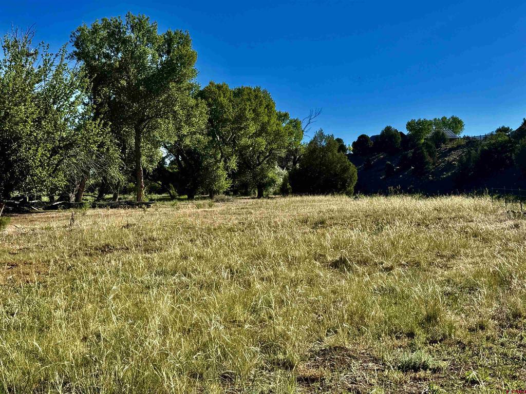 7149 & 7198 Cr 213 Property Photo 11
