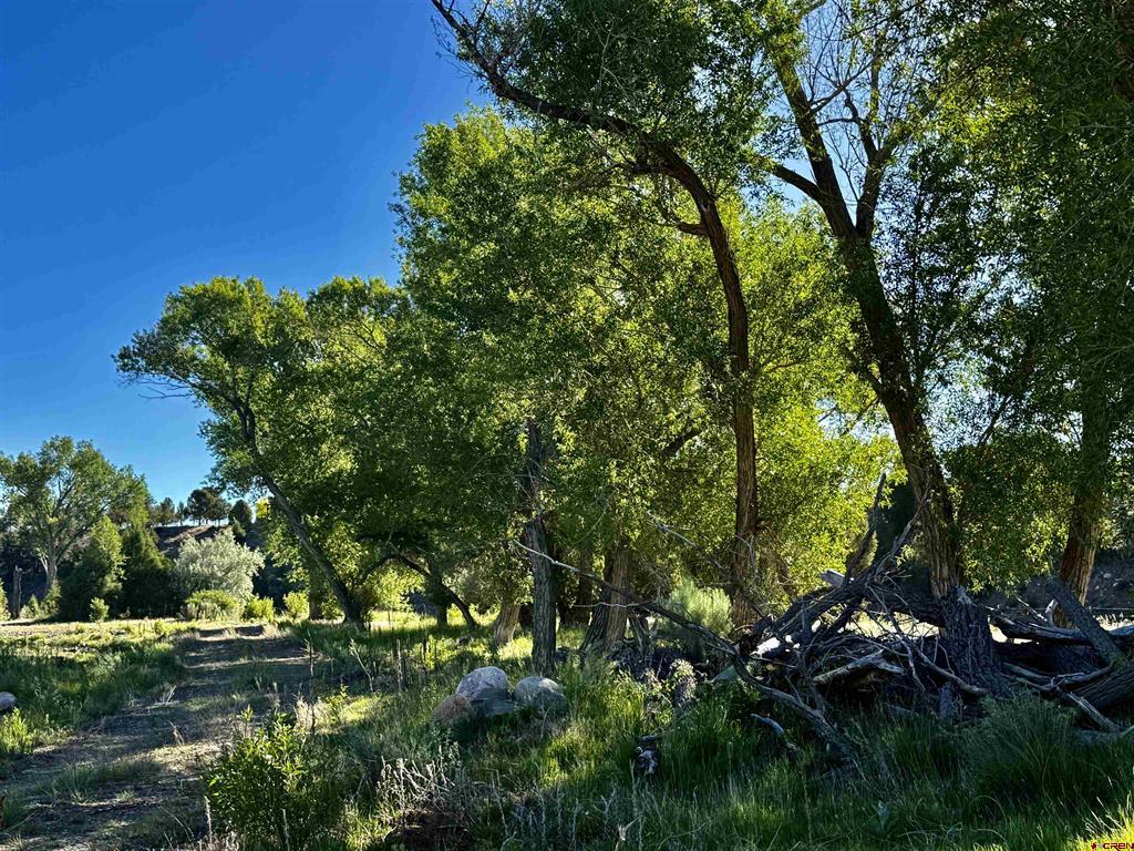 7149 & 7198 Cr 213 Property Photo 12