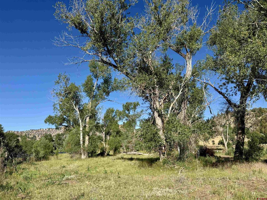 7149 & 7198 Cr 213 Property Photo 15