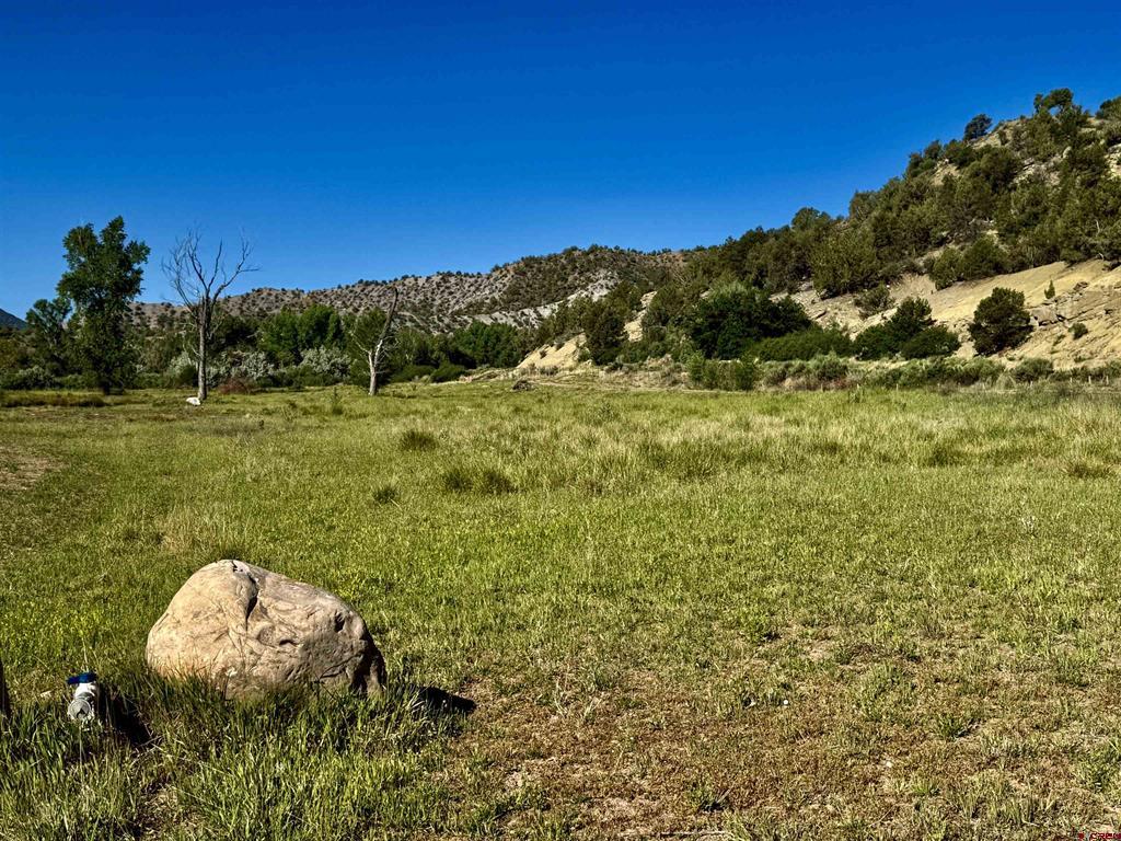 7149 & 7198 Cr 213 Property Photo 29