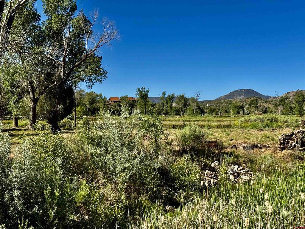 7149 & 7198 Cr 213 Property Photo 32