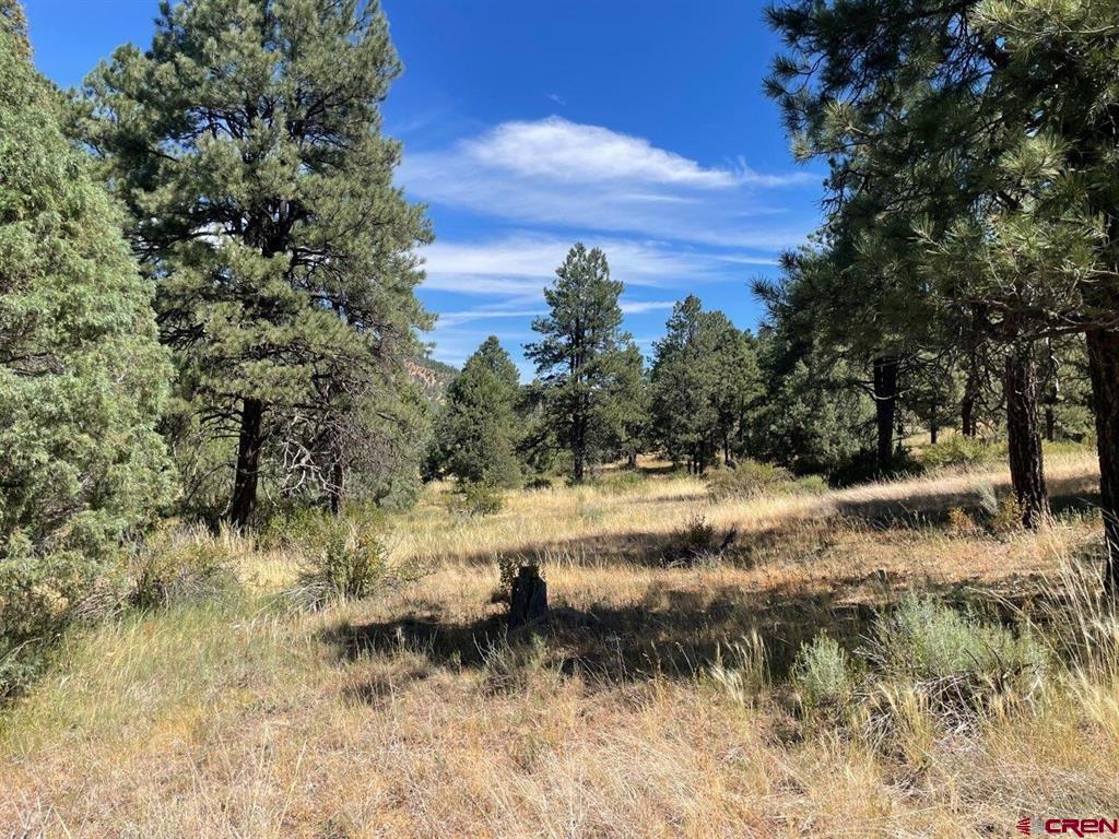 9178a Cr 500 Property Photo 18