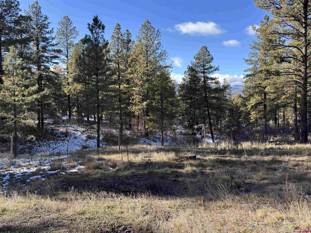520 Hilltop Drive Property Photo 1