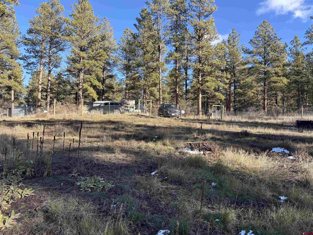 520 Hilltop Drive Property Photo 3