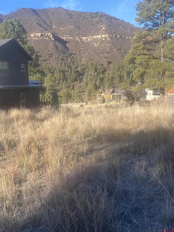57 Wild Iris Property Photo 5