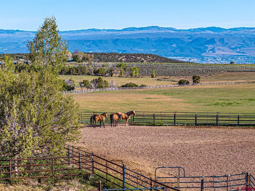 2741 7750 Road Property Photo 45