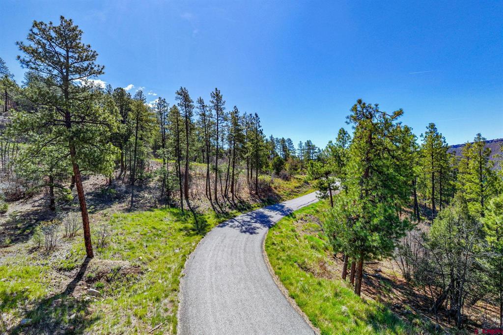 701 Durango Cliffs Drive Property Photo 1