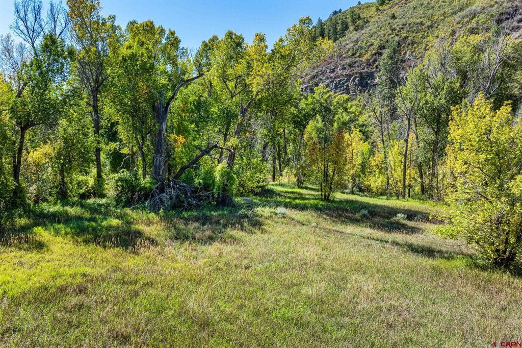 441 County Road 204 Property Photo 5