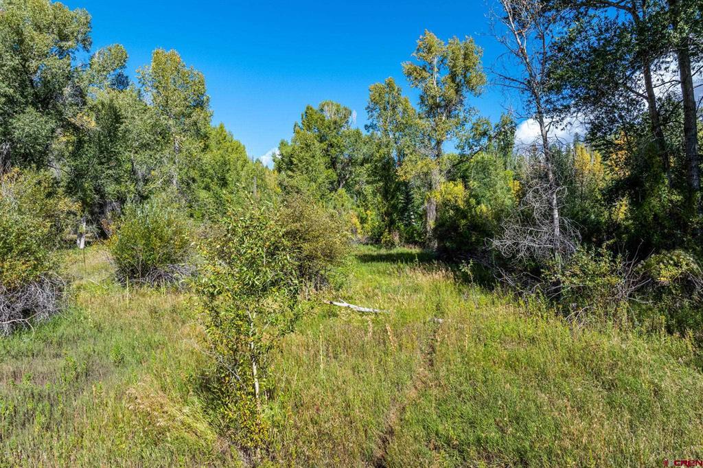 441 County Road 204 Property Photo 26