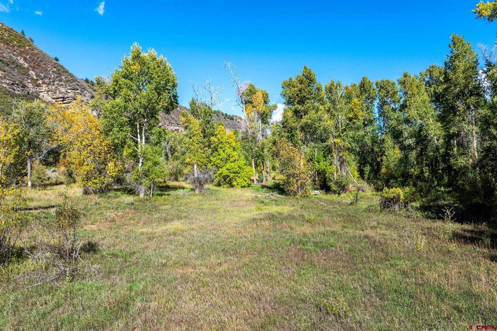 441 County Road 204 Property Photo 28