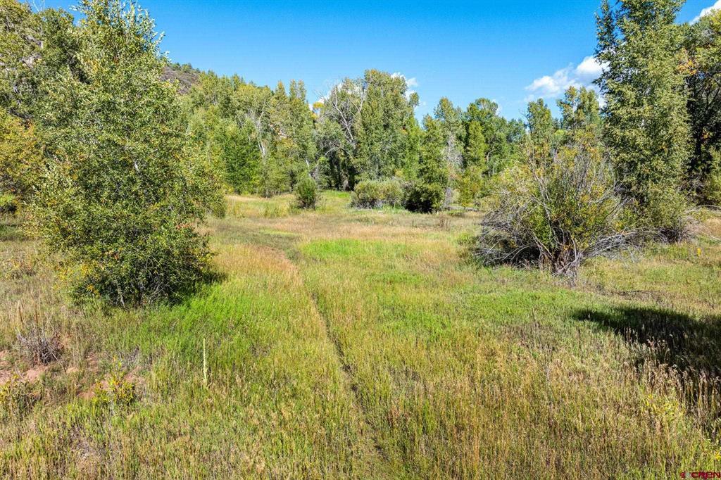 441 County Road 204 Property Photo 30