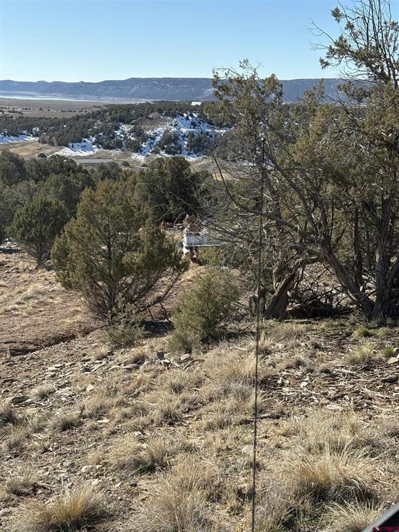 41 Val Verde Court Property Photo 3