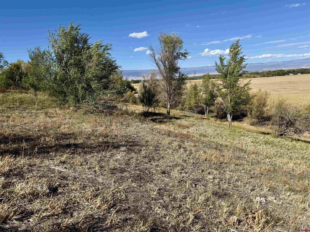 Tbd 5500 Road Property Photo 2
