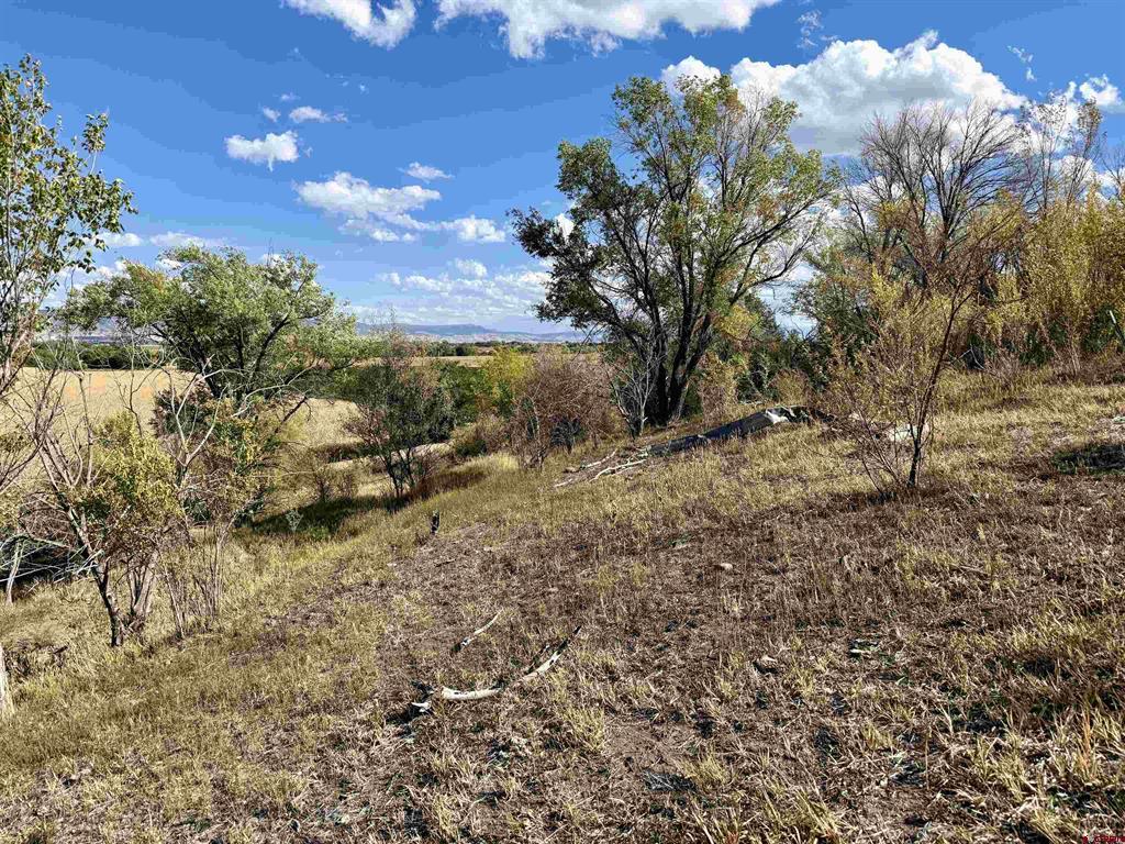 Tbd 5500 Road Property Photo 3