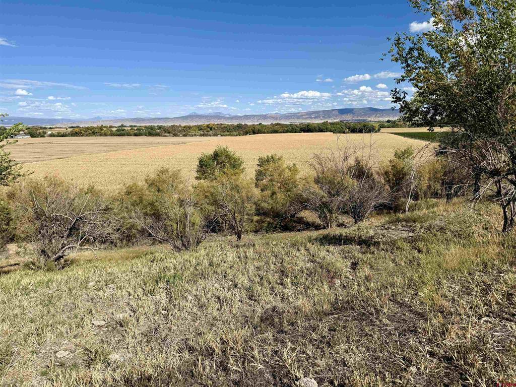 Tbd 5500 Road Property Photo 4