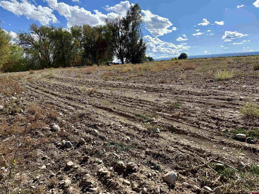 Tbd 5500 Road Property Photo 6