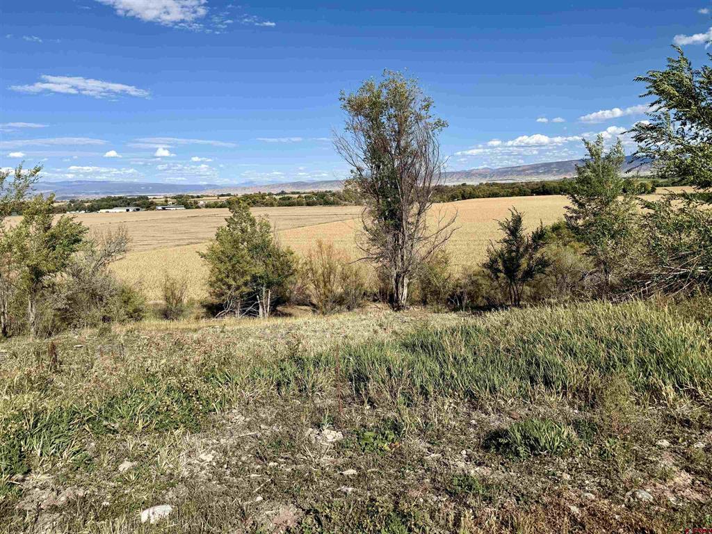 Tbd 5500 Road Property Photo 7