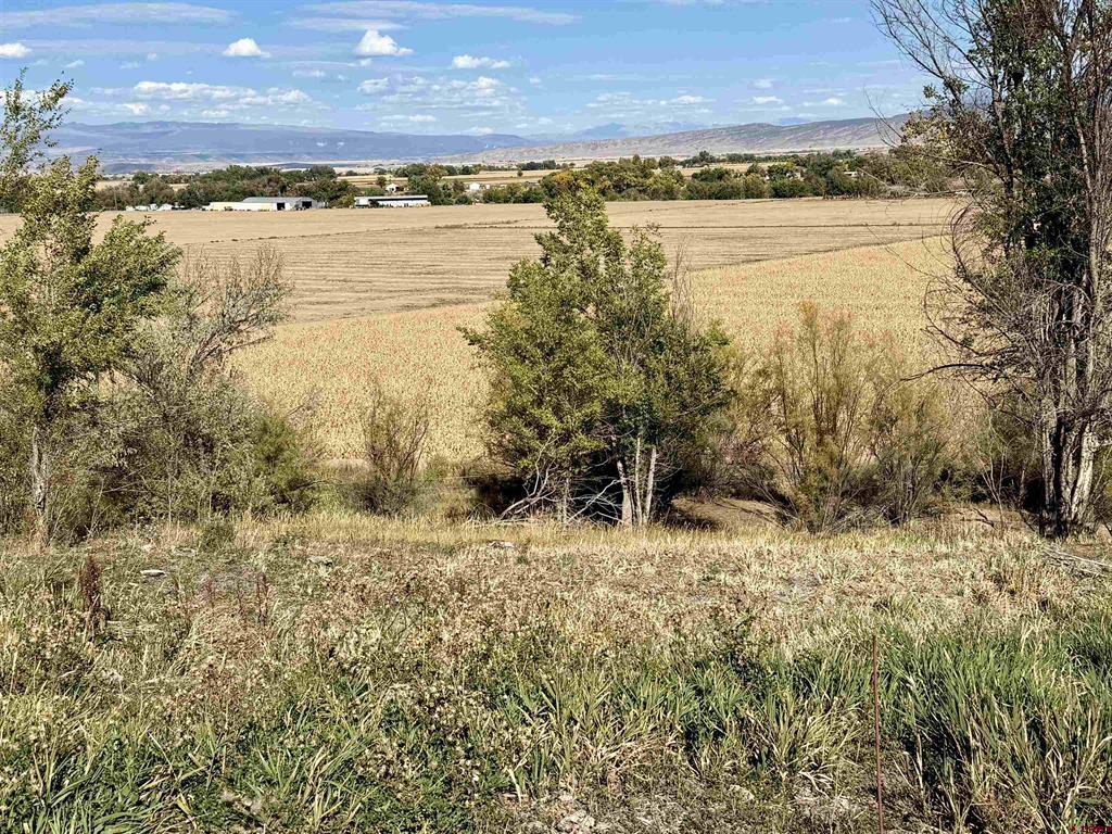 Tbd 5500 Road Property Photo 8