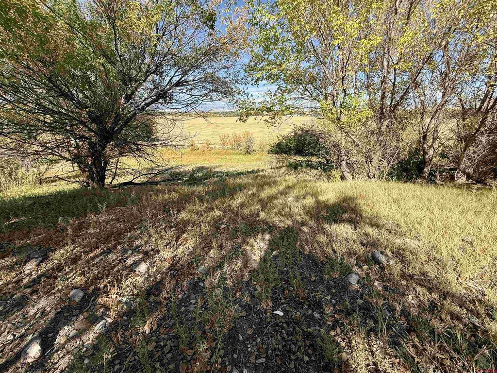 Tbd 5500 Road Property Photo 9