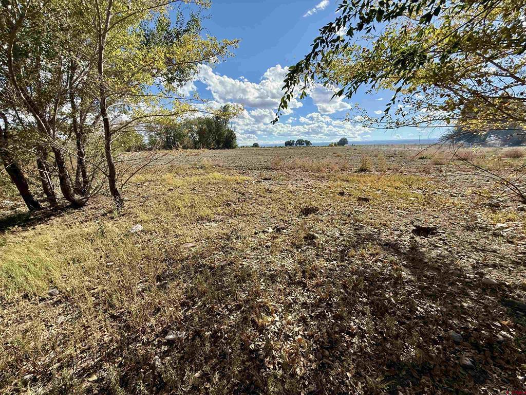 Tbd 5500 Road Property Photo 10