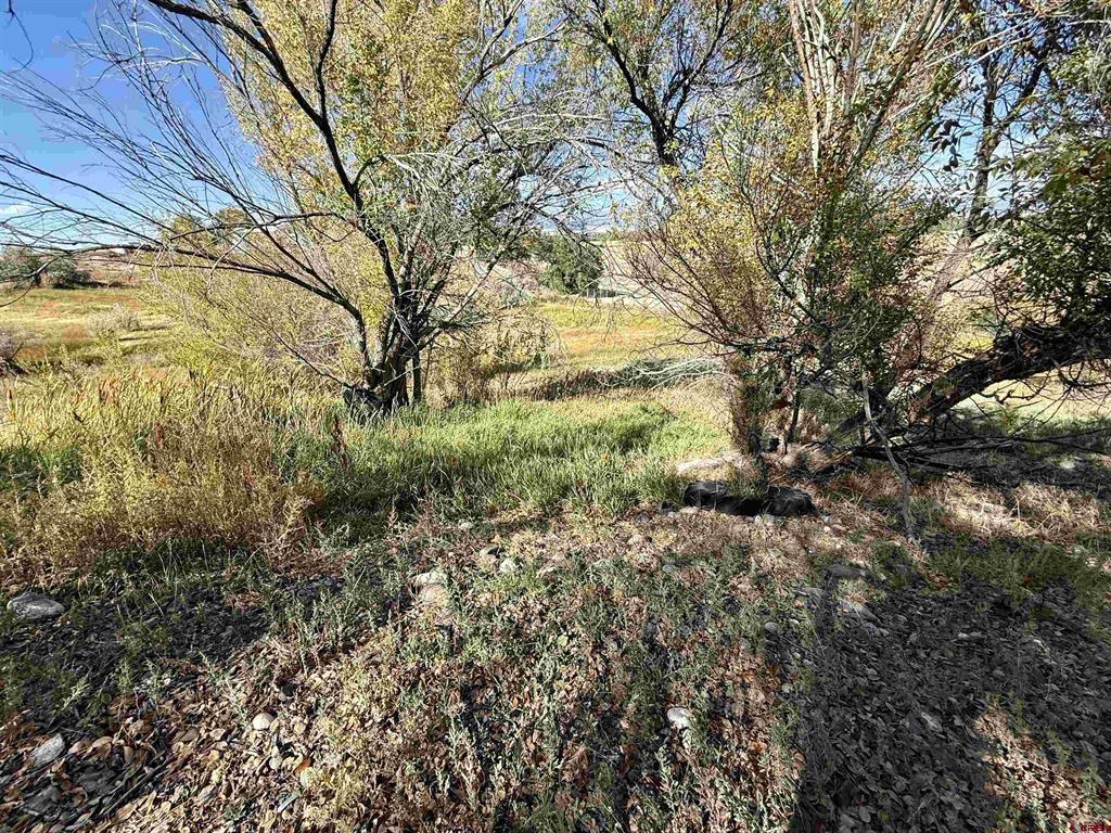 Tbd 5500 Road Property Photo 11