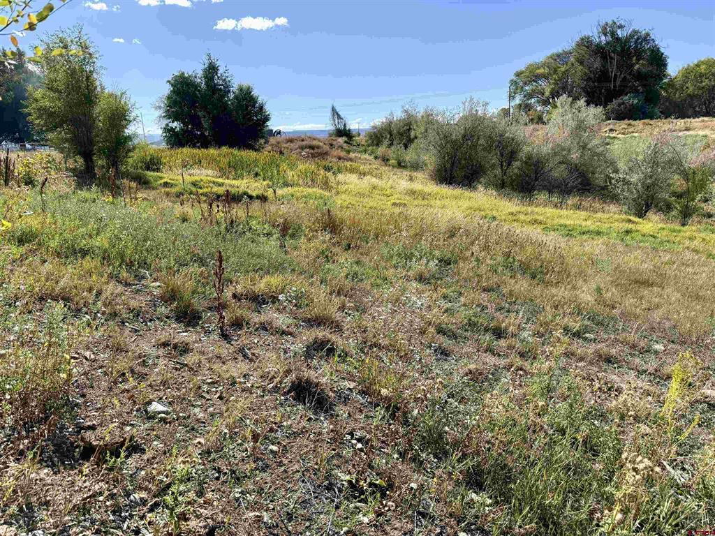 Tbd 5500 Road Property Photo 14
