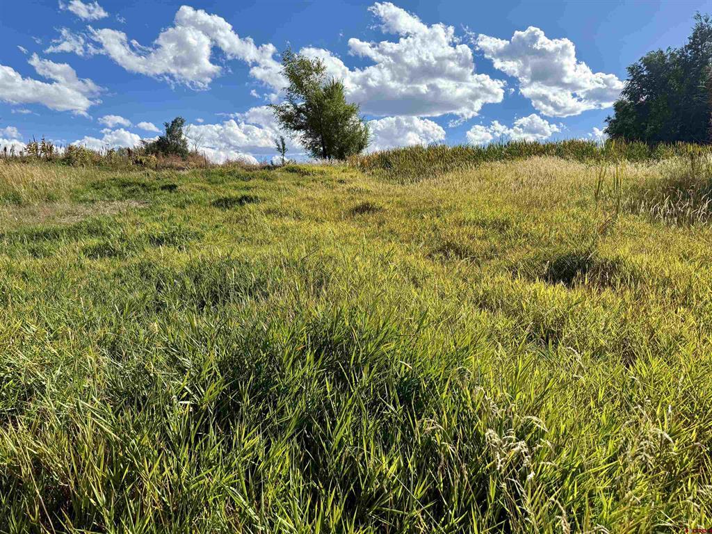 Tbd 5500 Road Property Photo 16