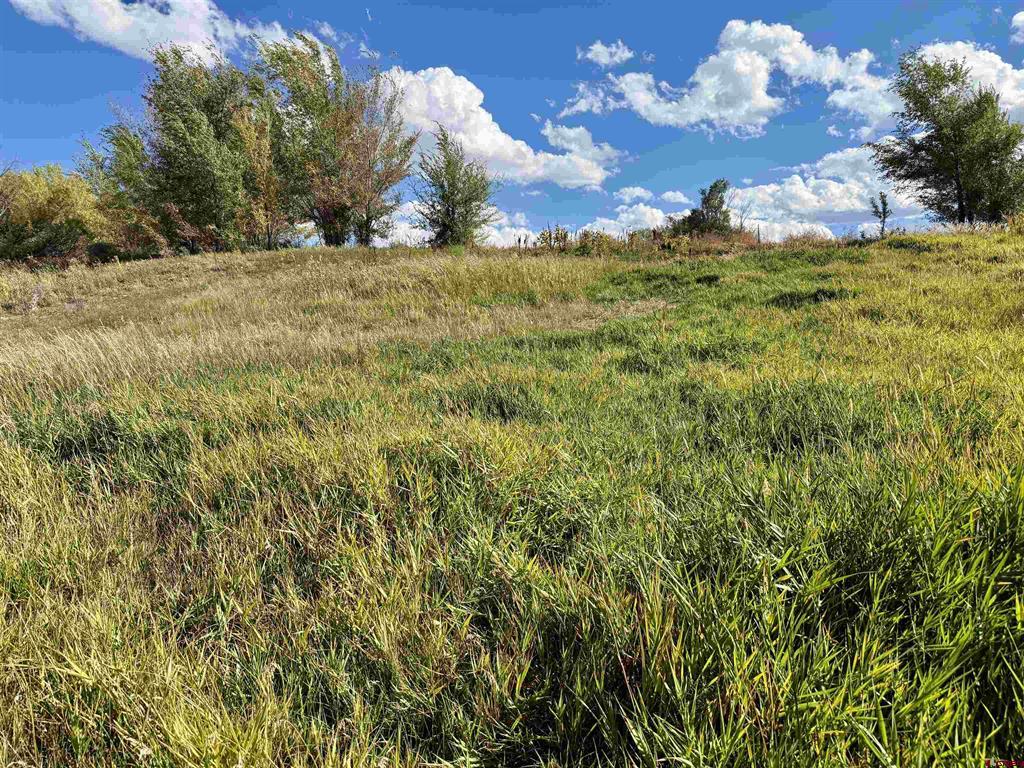 Tbd 5500 Road Property Photo 17