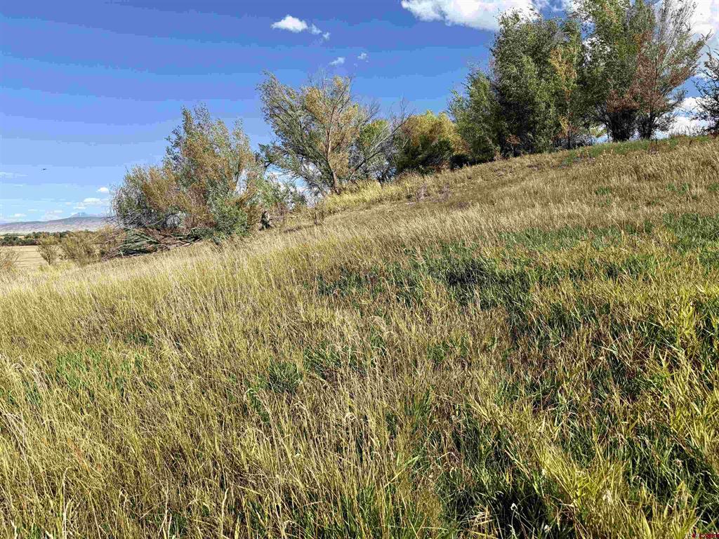 Tbd 5500 Road Property Photo 18