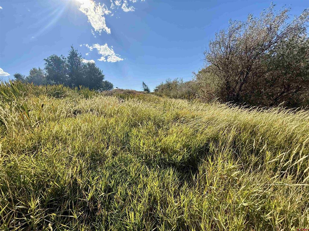 Tbd 5500 Road Property Photo 21