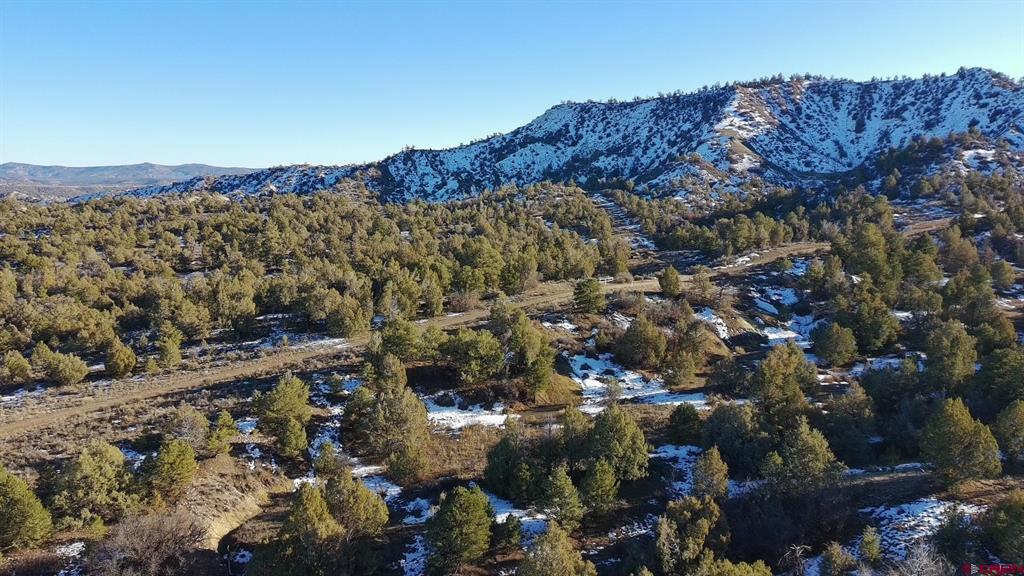 1479 La Posta Canyon Road Property Photo 3