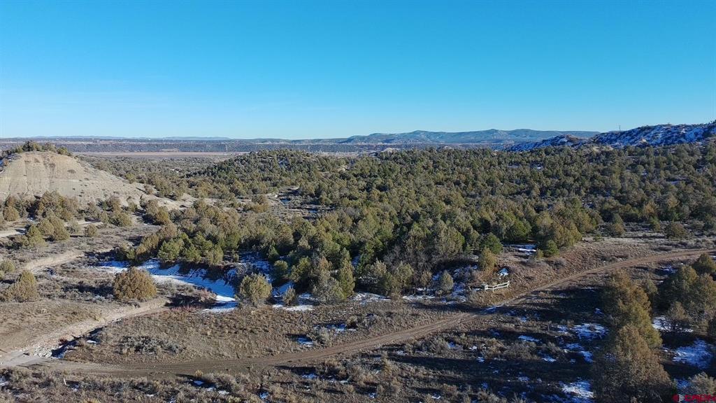 1479 La Posta Canyon Road Property Photo 4
