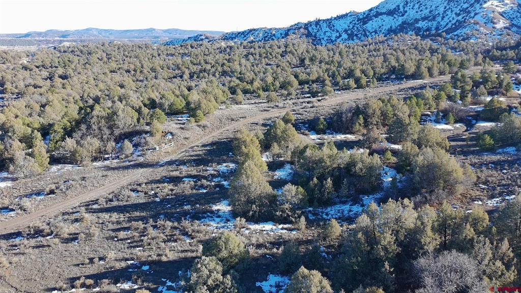 1479 La Posta Canyon Road Property Photo 6