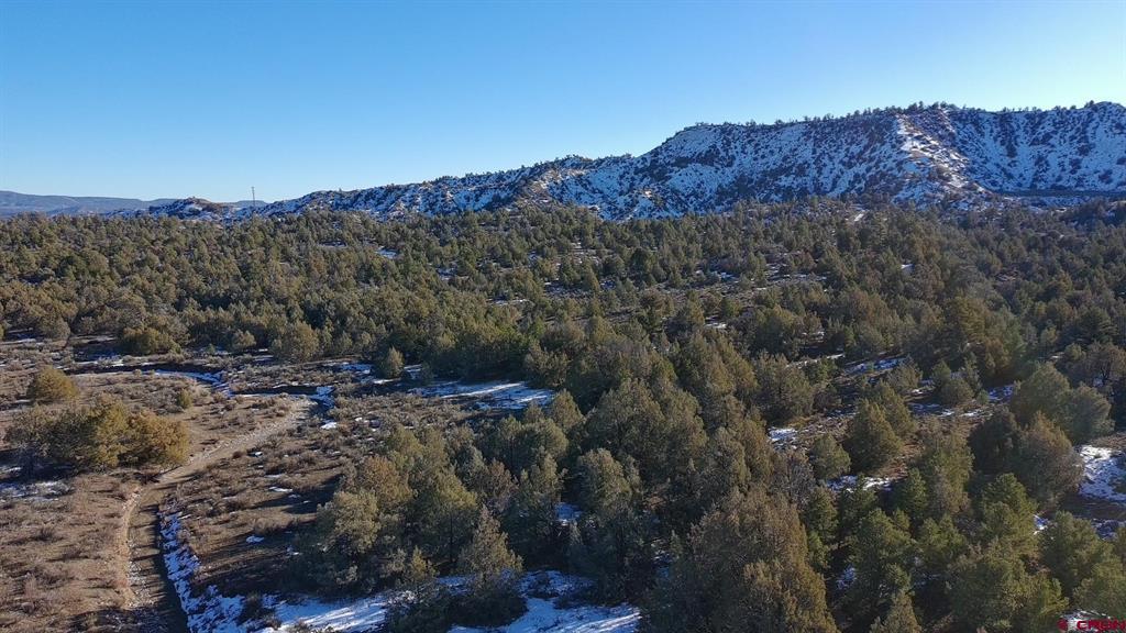 1479 La Posta Canyon Road Property Photo 7