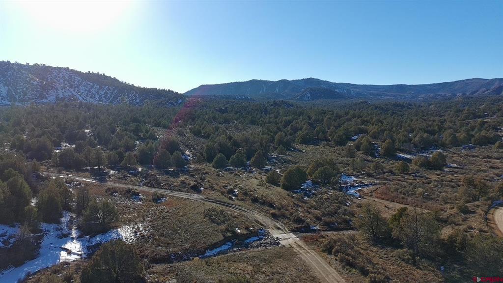 1479 La Posta Canyon Road Property Photo 8