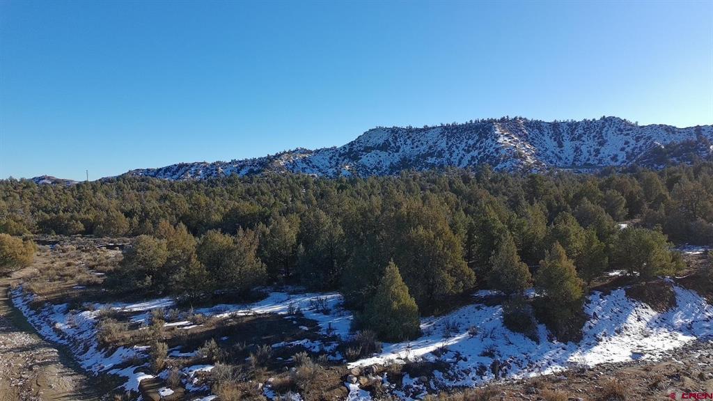 1479 La Posta Canyon Road Property Photo 9