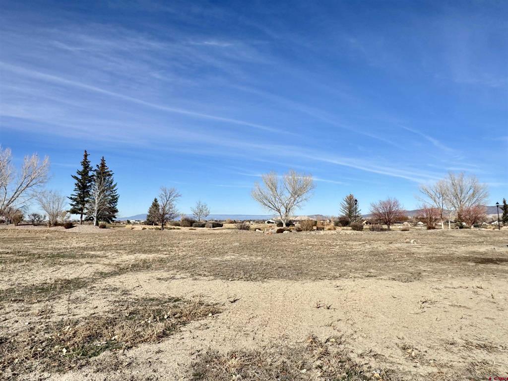 Lot 1102 Bridges Loop Property Photo 2