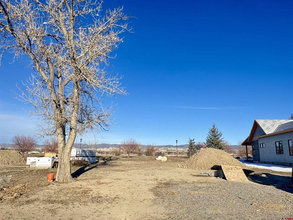 Lot 1107 Bridges Loop Property Photo 1