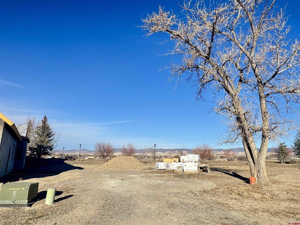 Lot 1106 Bridges Loop Property Photo 1