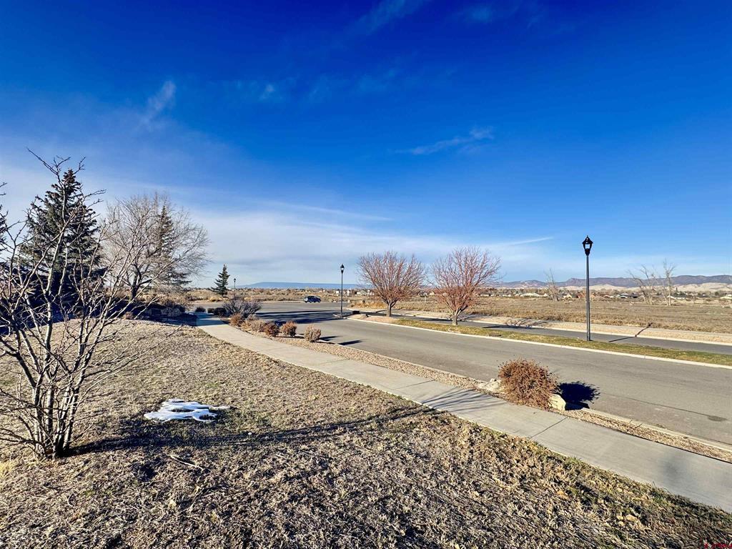 Lot 1106 Bridges Loop Property Photo 3