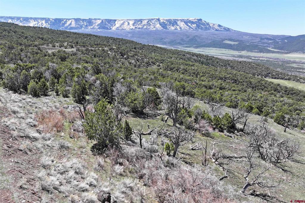 Tbd Tbd Property Photo 8