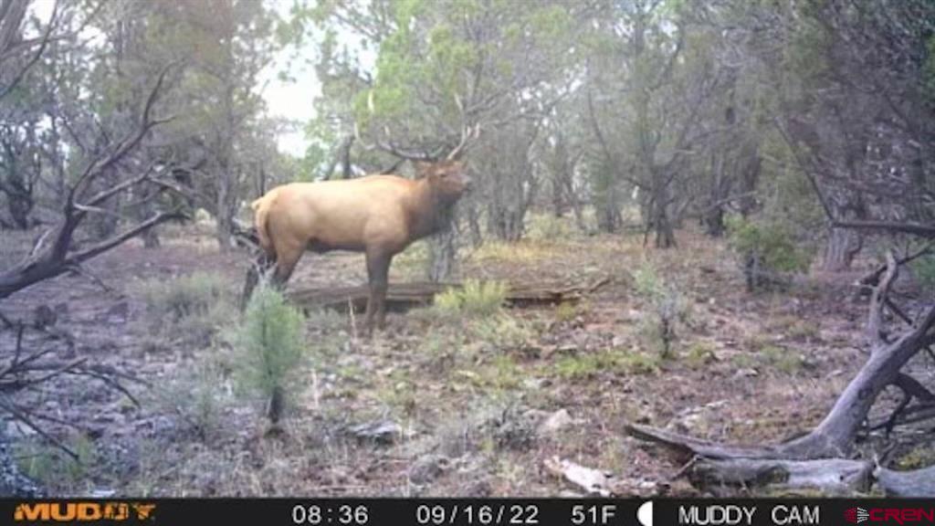 Tbd Tbd Property Photo 17