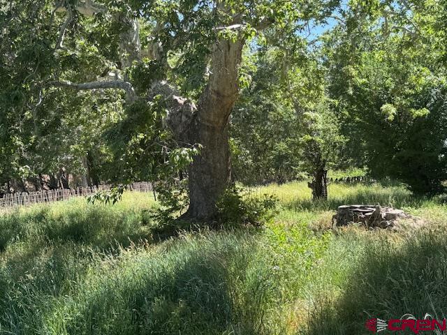 125 Deep Creek Ranch Road Property Photo 8